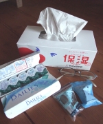 �ʐ^�F�ԕ��Ǒ΍�O�b�Y