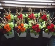 �ʐ^�F�v���U�[�u�h�t�����[