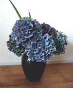 �ʐ^�F��������