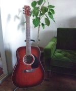 �ʐ^�F�M�^�[