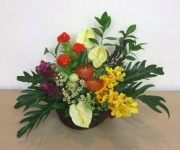 �ʐ^�F�A�W�A���A�����W