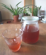 �ʐ^�F�A�C�X�n�[�u�e�B�[