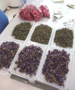 �ʐ^�F�|�v���ޗ�